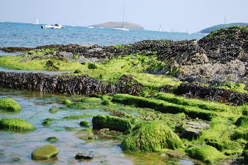 Abersoch