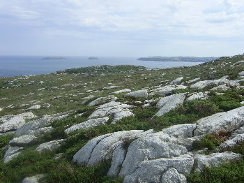 Llanbedrog